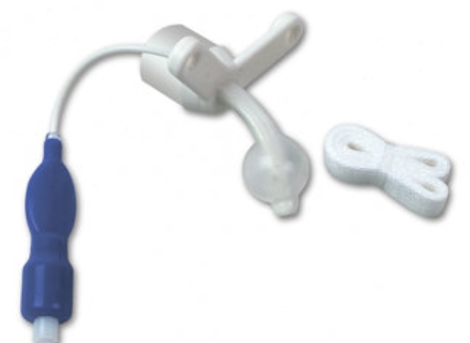 ����������������� ������ Bivona � �������� TTS