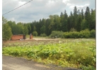 Предлагаю приобрести участок 111 в дачном поселке Пушкино Лайф.Пос ...